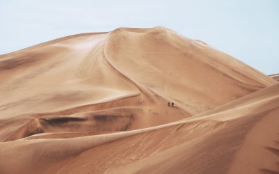 Afrika in Corona-Zeiten. Feststellungen und Thesen